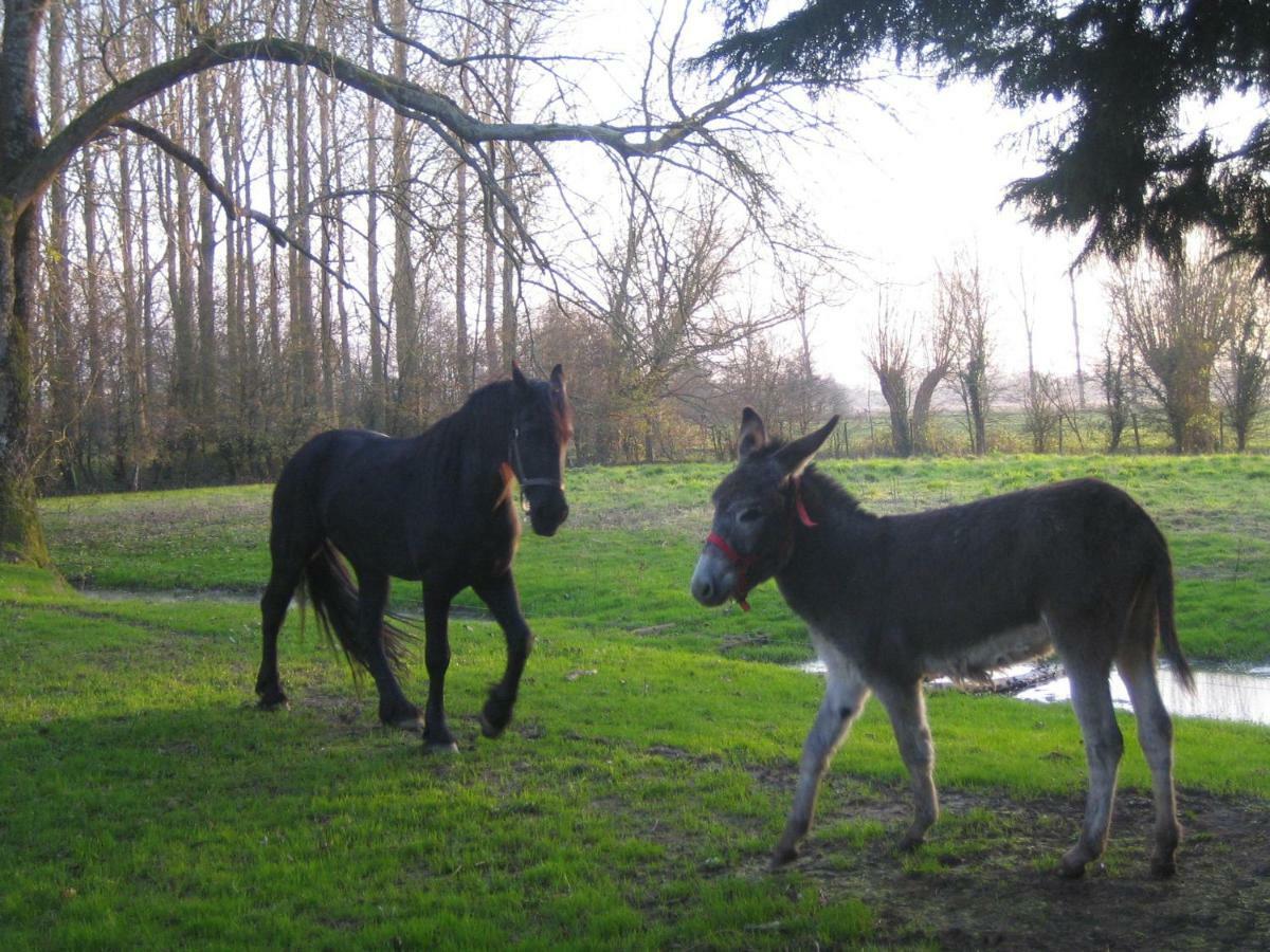 La Ferme De Tigny Villa ภายนอก รูปภาพ