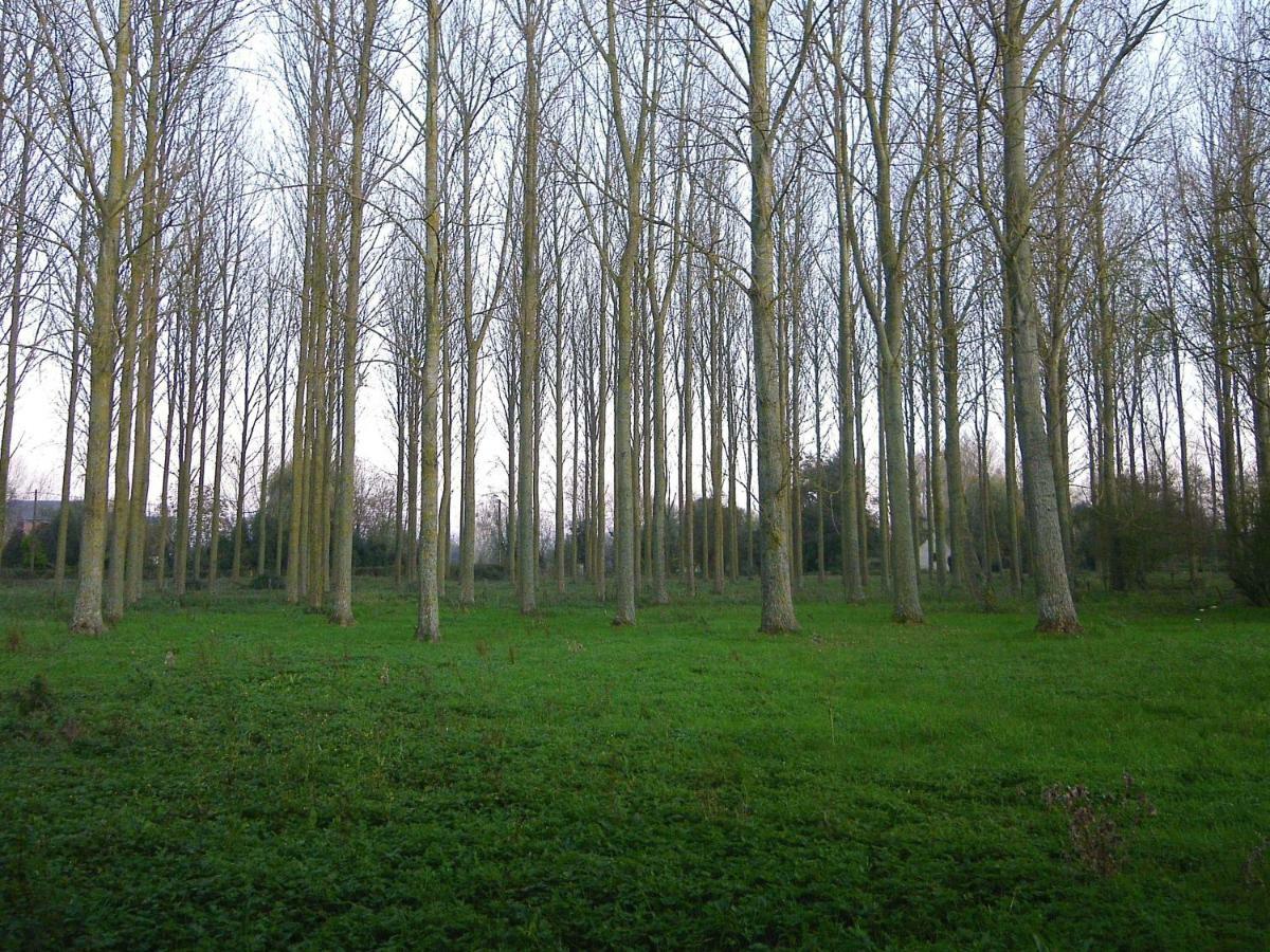 La Ferme De Tigny Villa ภายนอก รูปภาพ