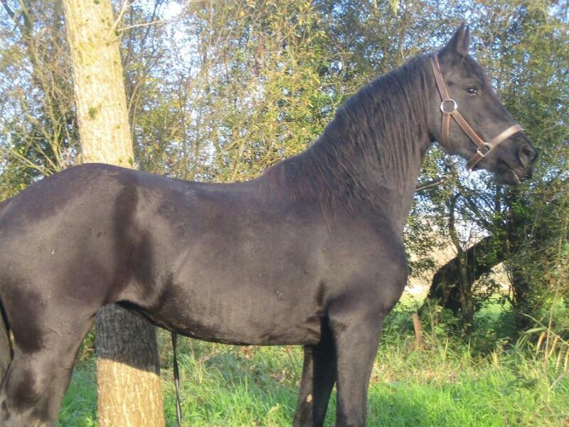 La Ferme De Tigny Villa ภายนอก รูปภาพ